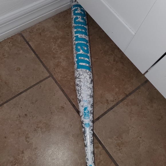 Great bat - Picture 5 of 7